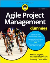 Project management for dummies