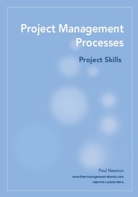 Project Management Processes: Project Skills